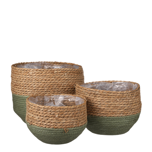 Jorck Plantenmand - Set van 3 - H24 x Ø26 cm - Zeegras - Groen