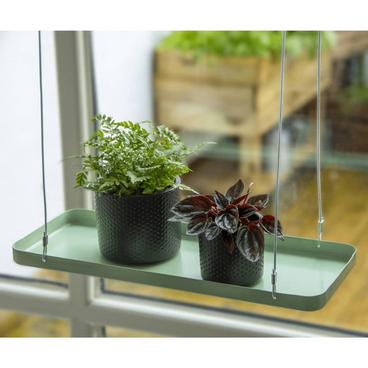 Echert Deign Plantenblad Hangend